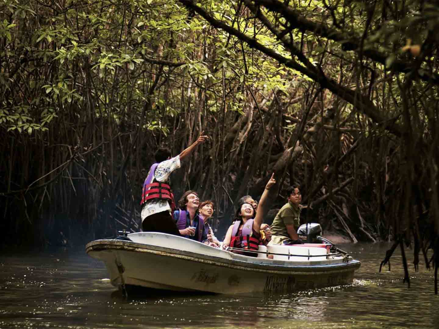 Navigating the Serenity of Bunton Mangrove: A Hidden Paradise in Cilacap