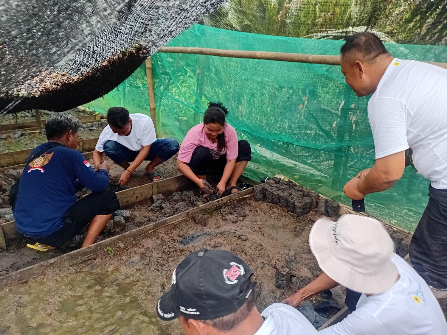 Mangrove Bunton: The Blue Sky Saving Cilacap's Coast
