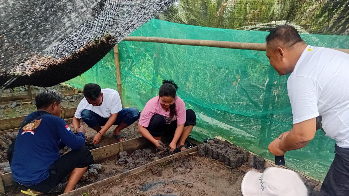 Havana Hills Without Waiting: The Secret Morning Ritual in Cilacap